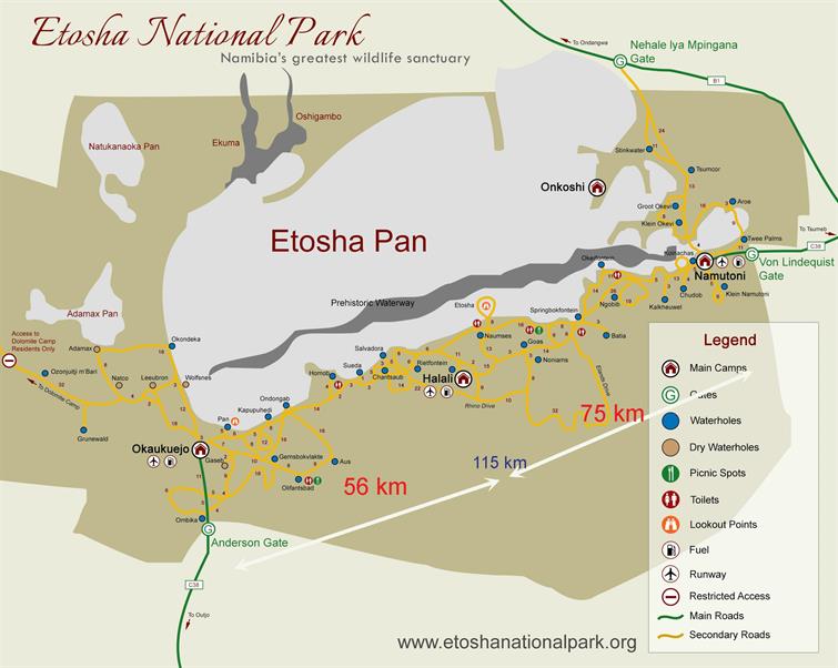 Wir haben unsere Reise durch den Park in OKAUKUEJO gestartet, sind dann nach HALALI gefahren, auf einer anderen Route ging es dann nach OKAUKUEJO zurück. Am nächsten Tag fuhren wir nach NAMUTONI, wo wir den Park verlassen haben.